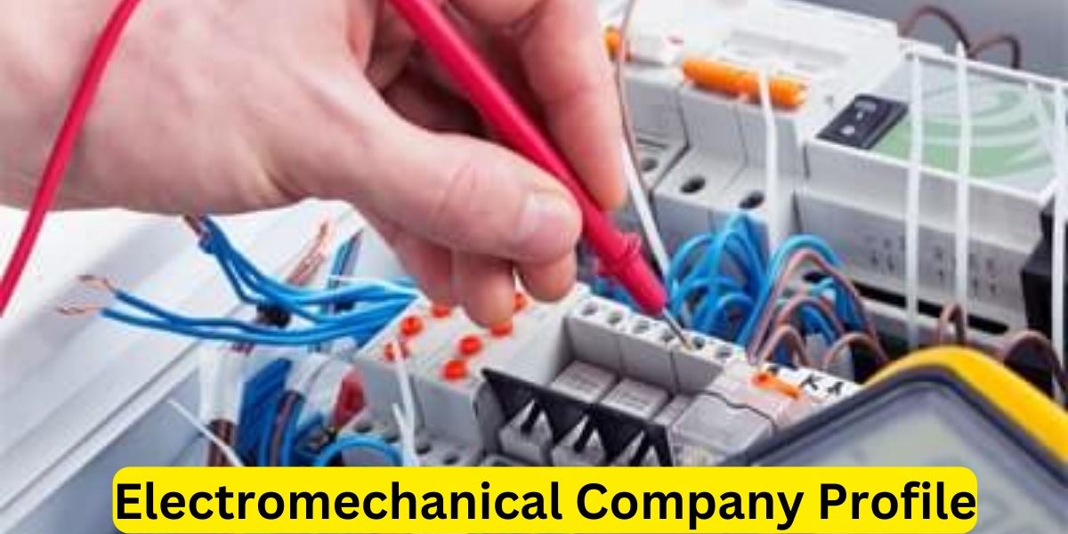 Electromechanical Company Profile