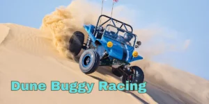 Dune Buggy Racing