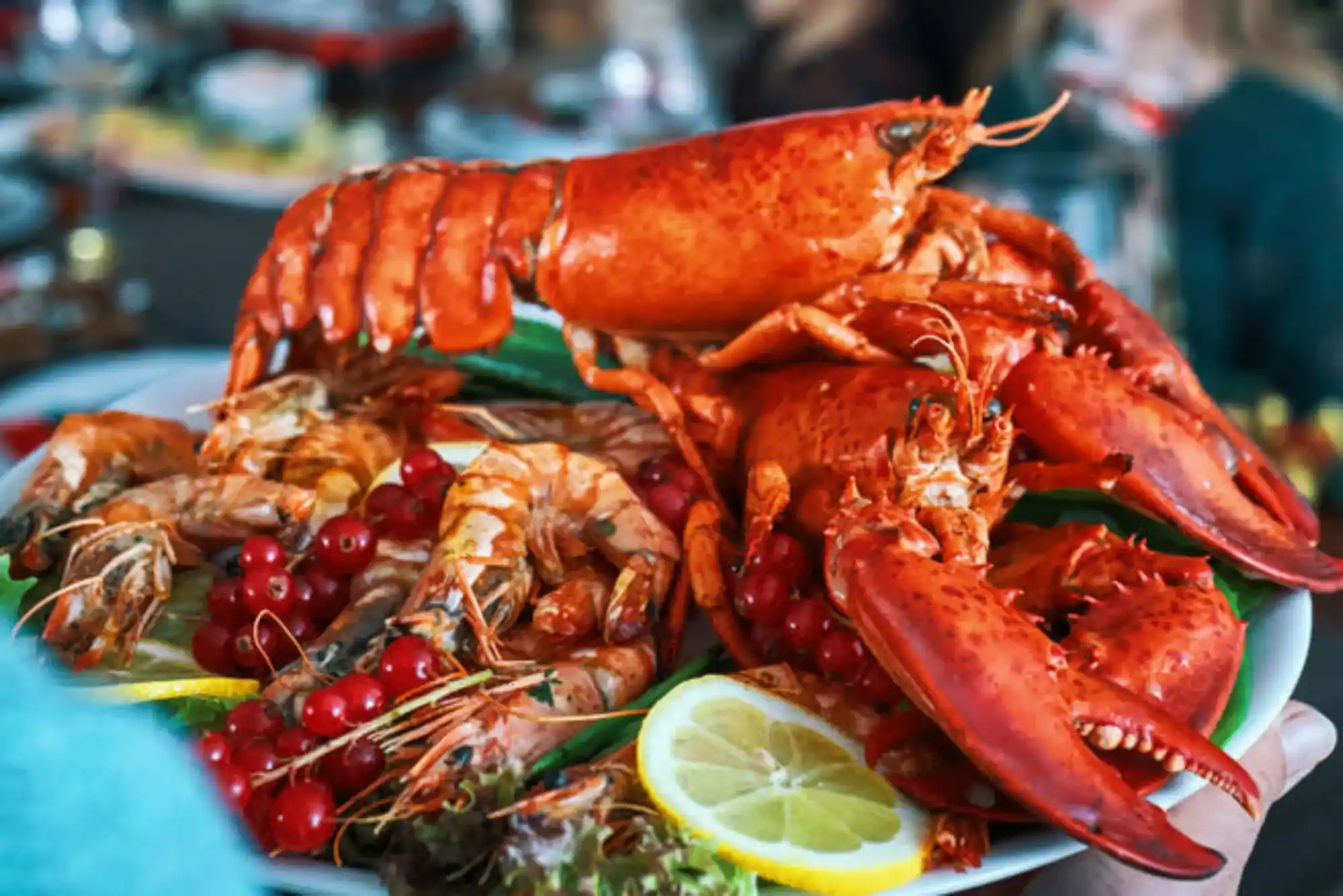 Expert Recommendations and Features & Benefits for Lobster in Dubai