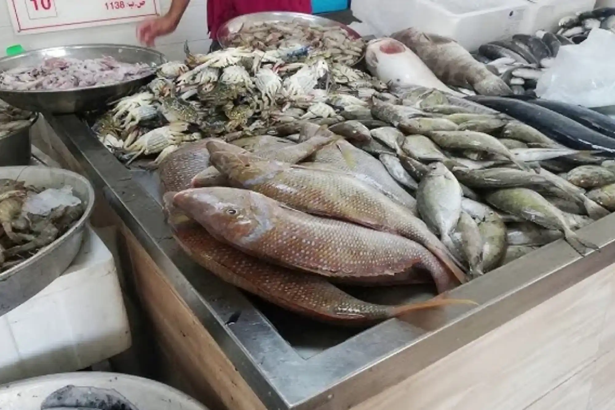 Exploring the Best Local Seafood Vendors in Ajman Fish Market