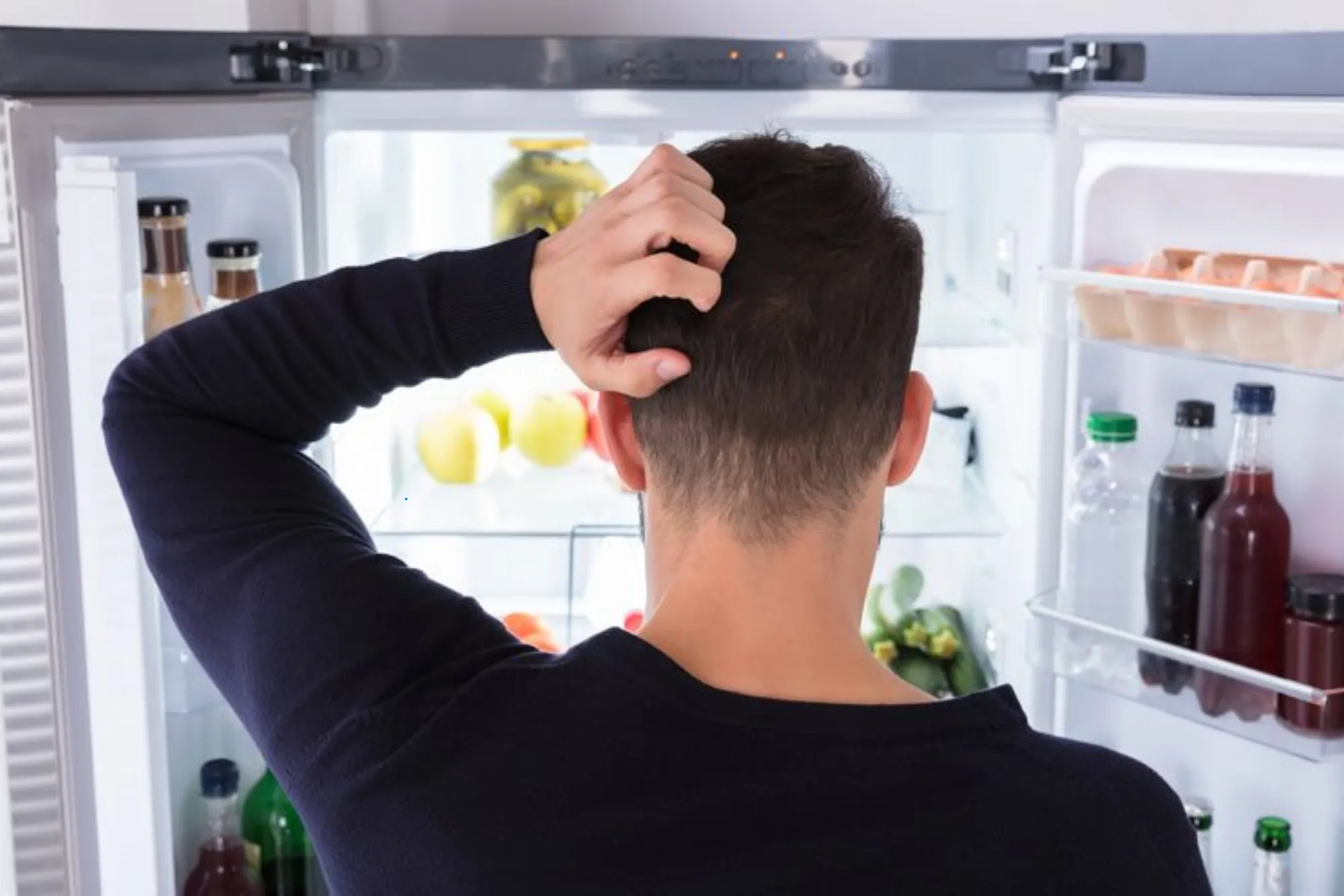 Why Refrigerator Runs But Doesn’t Cool