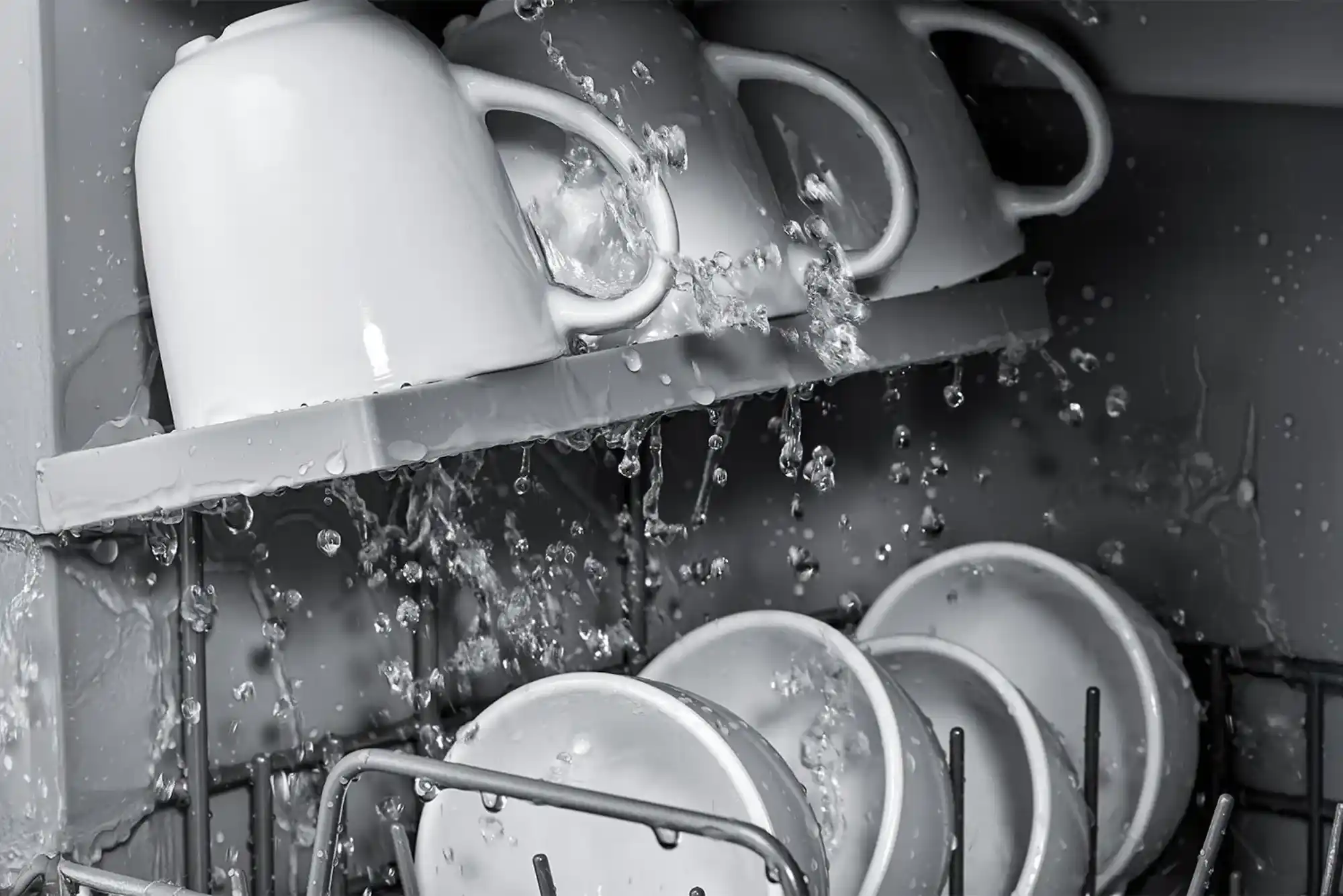 Dishwasher Dirty Water Issue