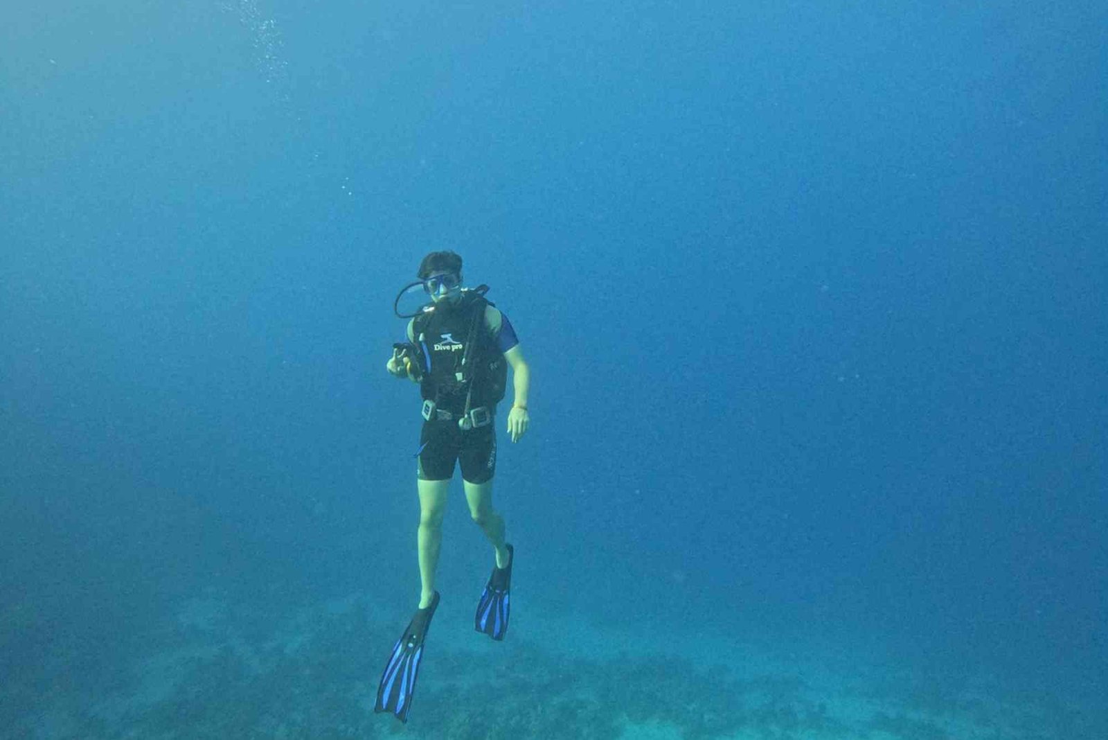 Diving in Marsa Alam: The Ultimate Guide to Egypt's Best Kept Underwater Secret